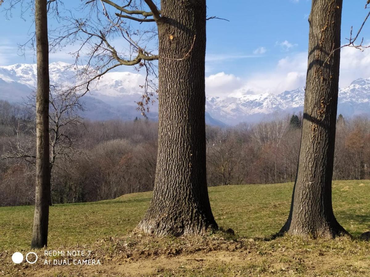 Cascina Serra Eco-House Beb Muzzano Bagian luar foto